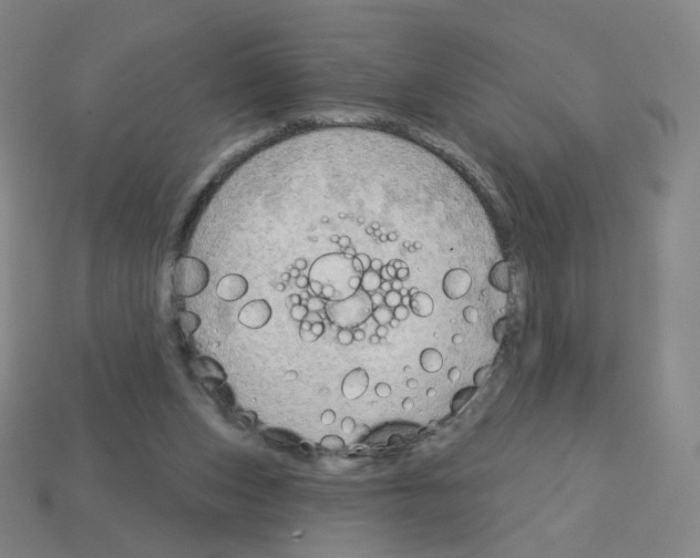X0000112760159200910011223