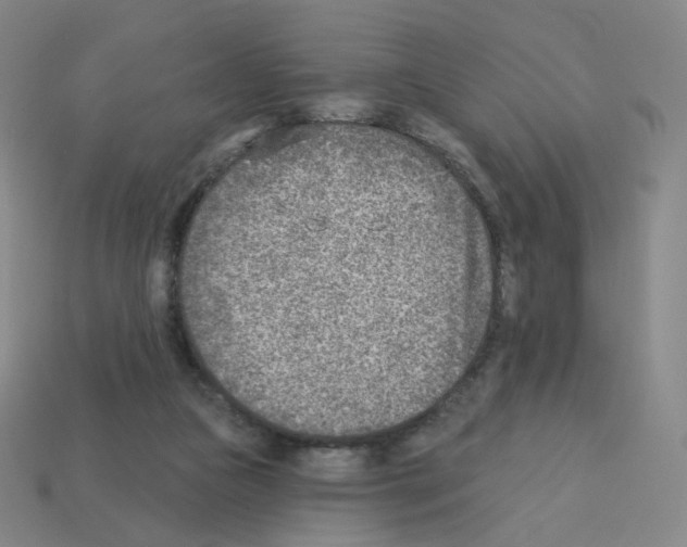 X0000112760161200910011223
