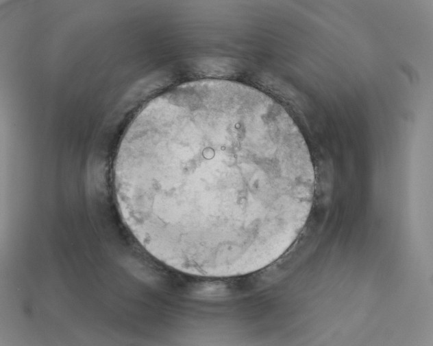 X0000112760162200910011223