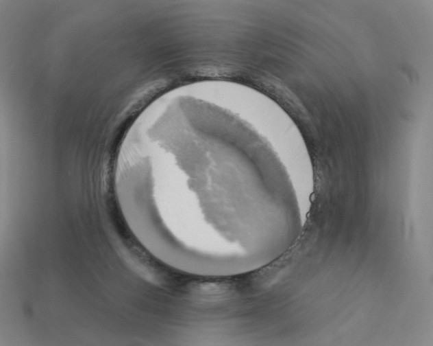 X0000112760163200910011223