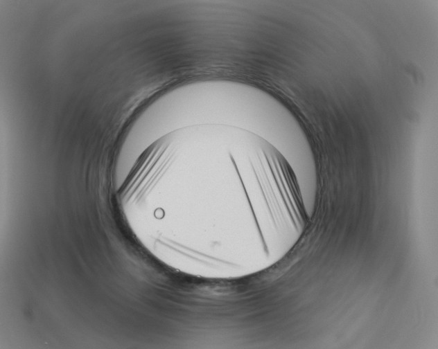 X0000112760164200910011223