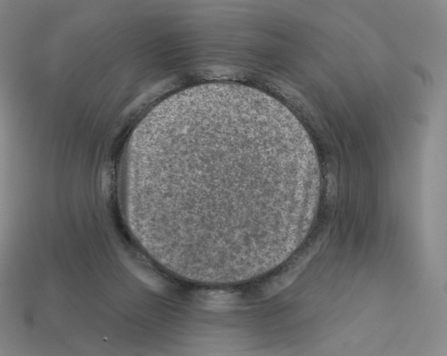 X0000112760165200910011223