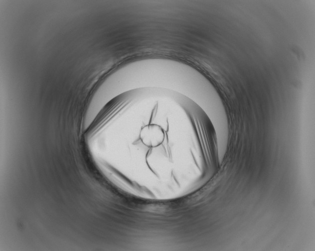 X0000112760168200910011223