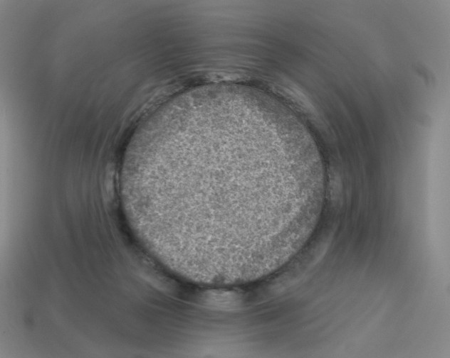 X0000112760169200910011223
