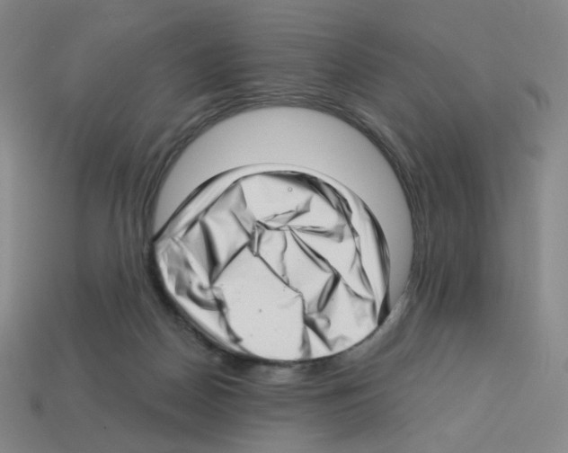 X0000112760170200910011223