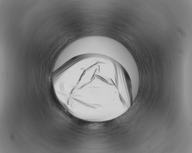 X0000112760172200910011223