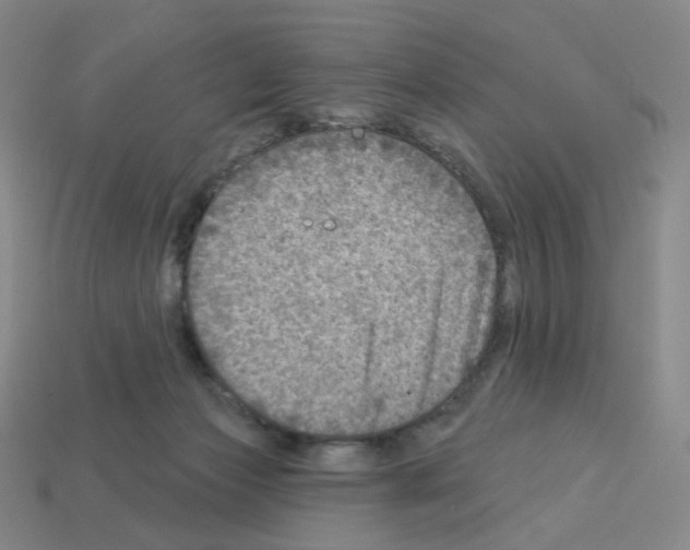 X0000112760173200910011223