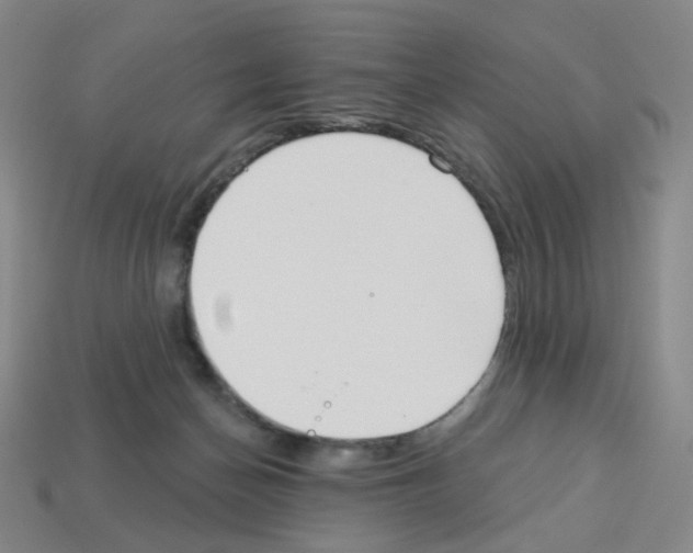 X0000112760174200910011223