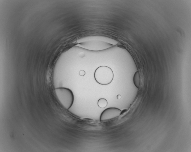 X0000112760175200910011223