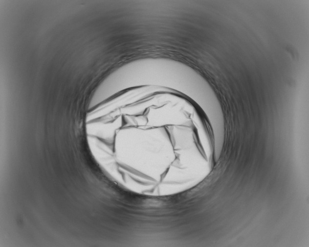 X0000112760176200910011223