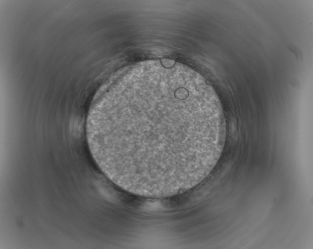 X0000112760177200910011223