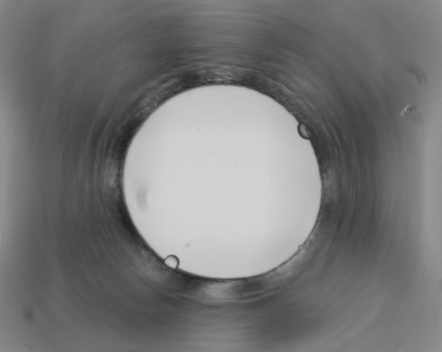 X0000112760178200910011223