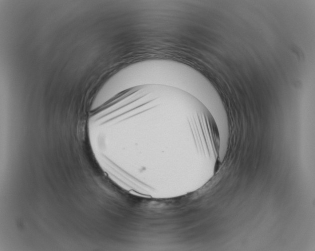 X0000112760180200910011223