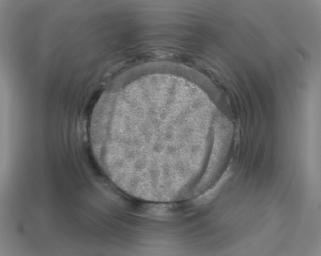 X0000112760182200910011223