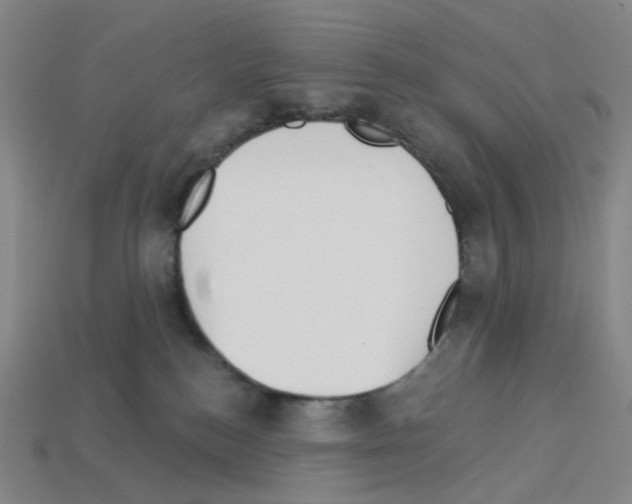 X0000112760184200910011223