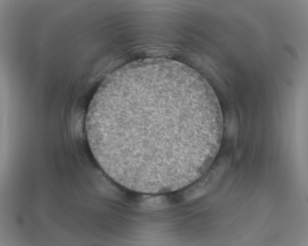 X0000112760185200910011223