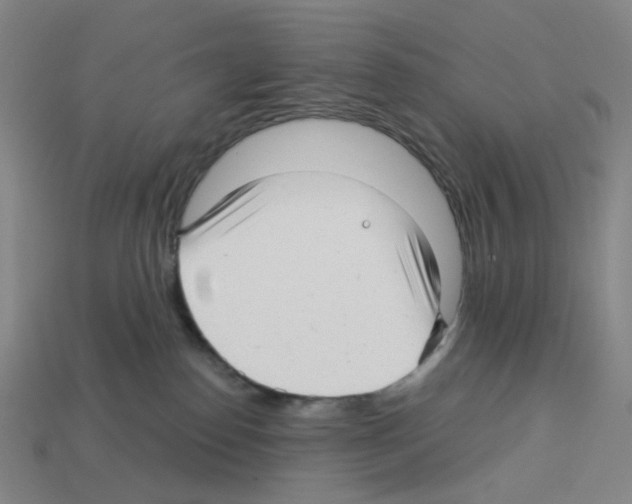 X0000112760186200910011223