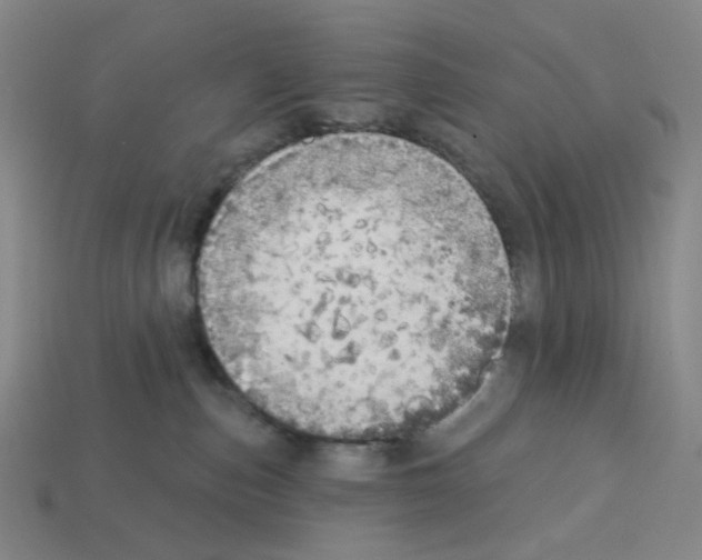 X0000112760187200910011223