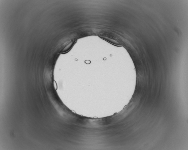X0000112760188200910011223