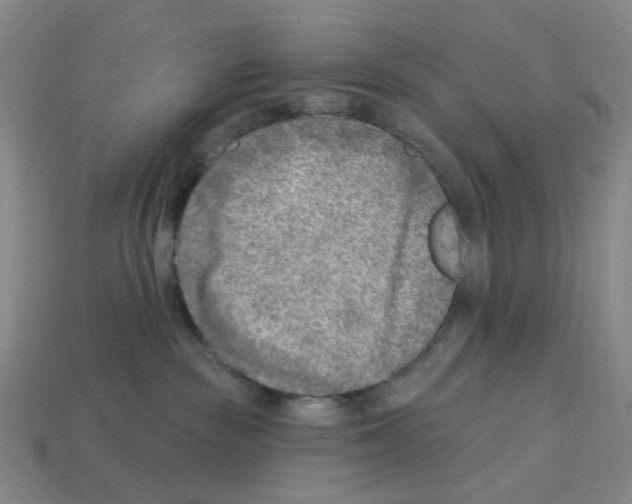 X0000112760189200910011223