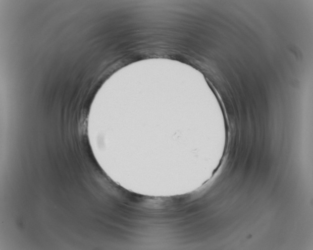 X0000112760190200910011223