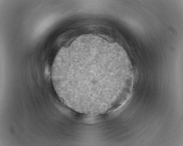 X0000112760191200910011223