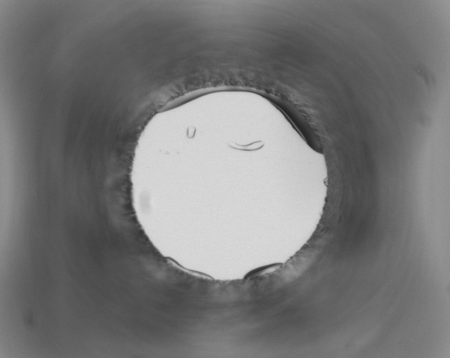 X0000112760192200910011223