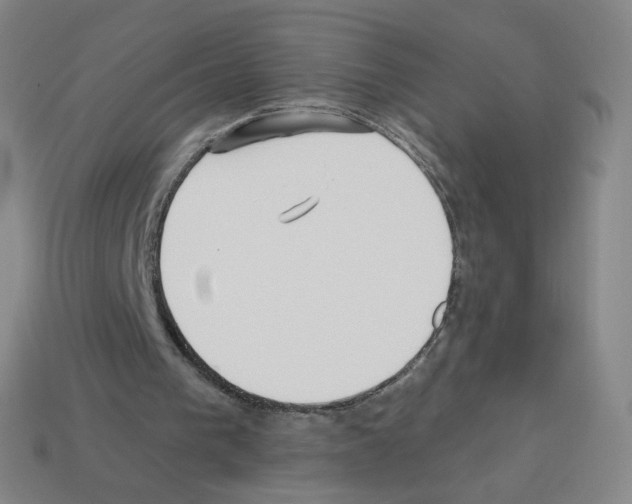 X0000112760193200910011223