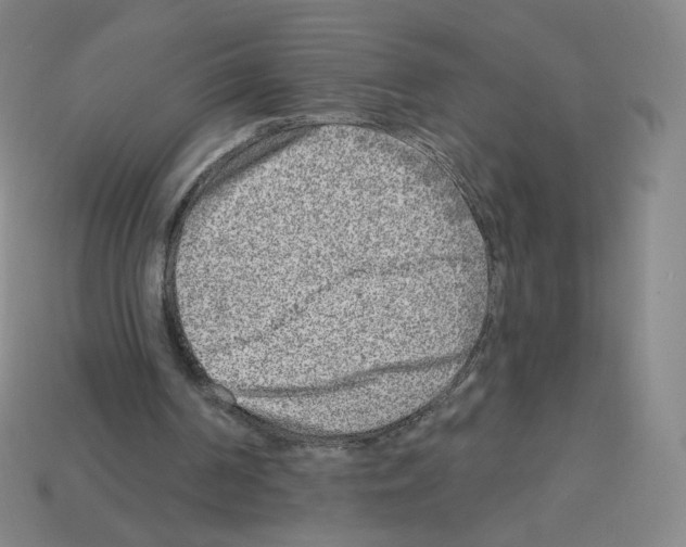 X0000112760194200910011223