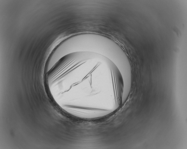 X0000112760195200910011223