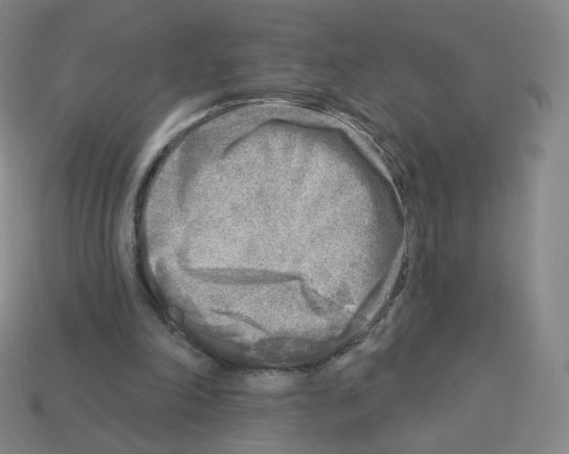 X0000112760198200910011223