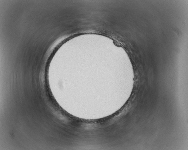 X0000112760200200910011222