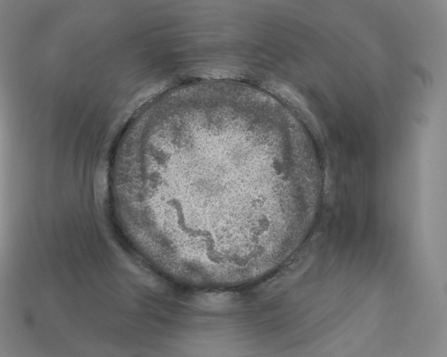 X0000112760202200910011222