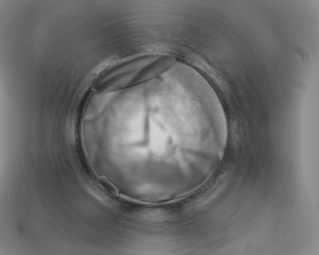 X0000112760203200910011222