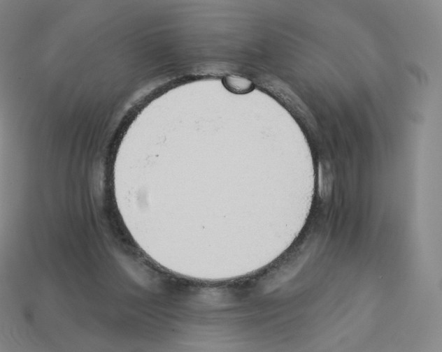 X0000112760204200910011222