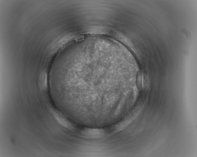 X0000112760205200910011222