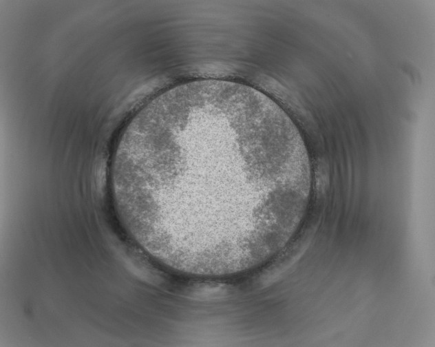 X0000112760206200910011222