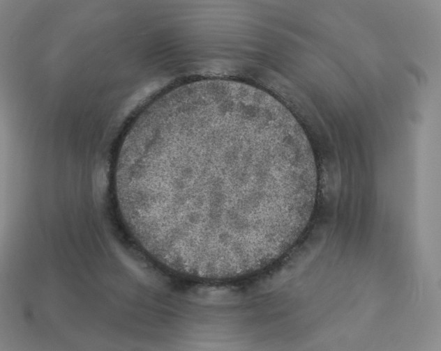 X0000112760208200910011222