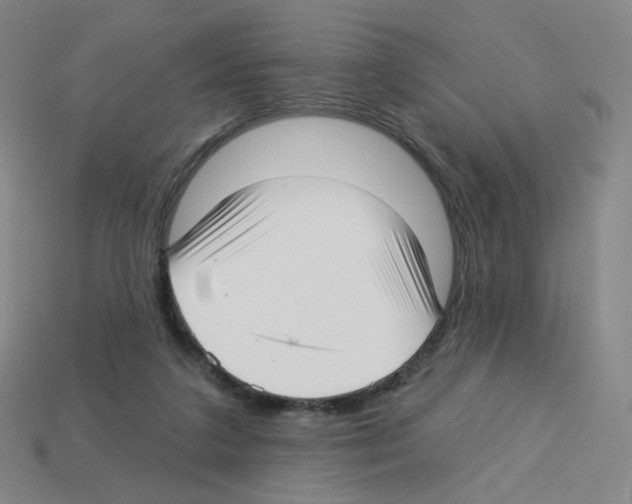 X0000112760211200910011222