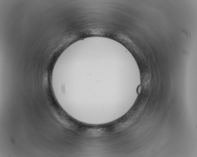X0000112760213200910011222