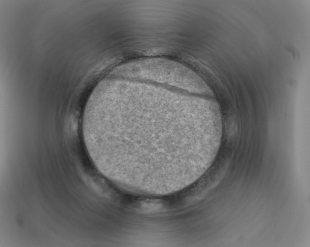 X0000112760214200910011222