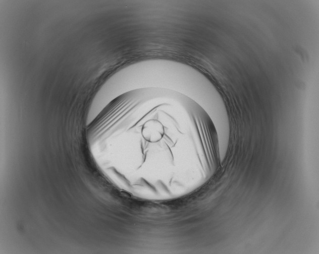 X0000112760215200910011222