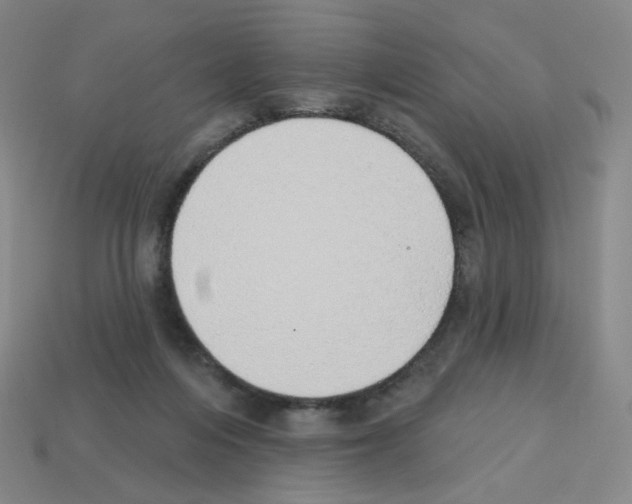X0000112760216200910011222