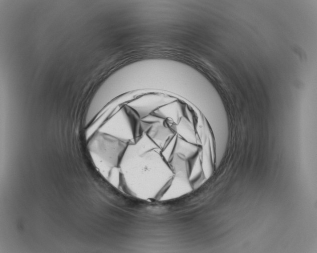 X0000112760217200910011222