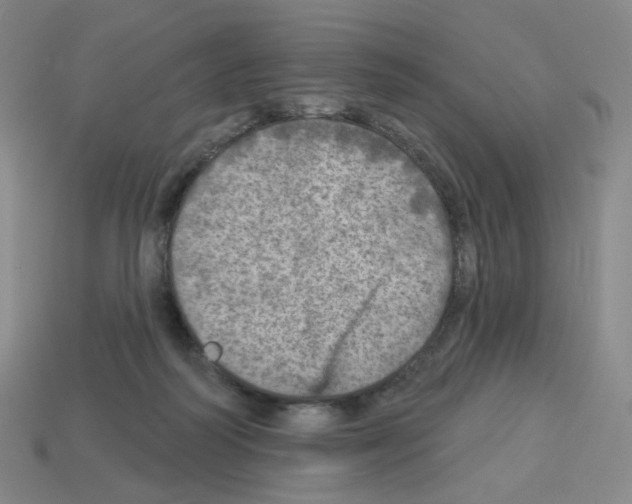 X0000112760218200910011222
