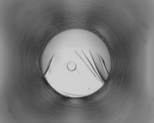 X0000112760221200910011222