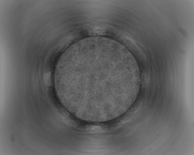 X0000112760224200910011222