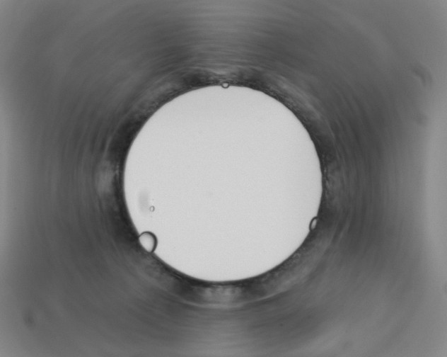 X0000112760225200910011222