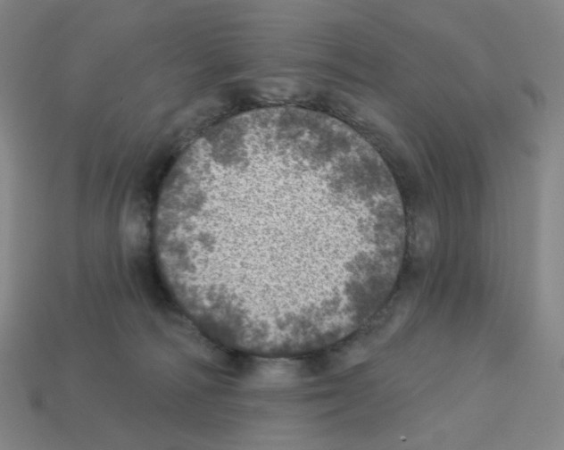 X0000112760226200910011222