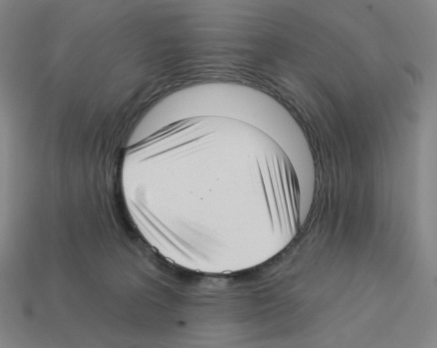 X0000112760227200910011222